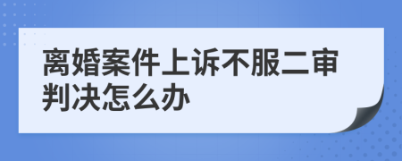 離婚案件上訴不服二審判決怎么辦