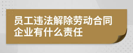 員工違法解除勞動合同企業(yè)有什么責(zé)任