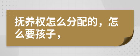 撫養(yǎng)權(quán)怎么分配的，怎么要孩子，
