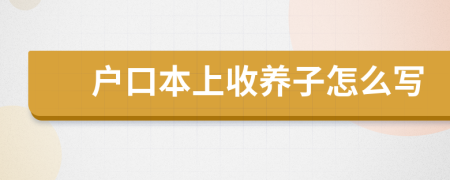 戶口本上收養(yǎng)子怎么寫