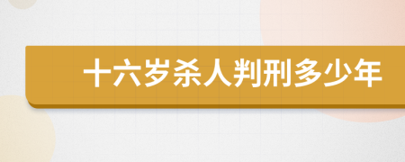 十六歲殺人判刑多少年