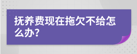 撫養(yǎng)費現(xiàn)在拖欠不給怎么辦？
