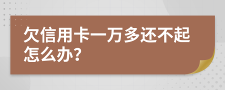 欠信用卡一萬多還不起怎么辦？
