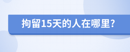 拘留15天的人在哪里?