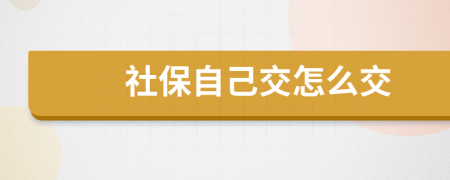 社保自己交怎么交
