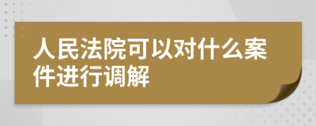 人民法院可以對什么案件進行調解