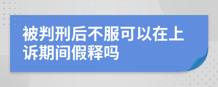被判刑后不服可以在上訴期間假釋嗎