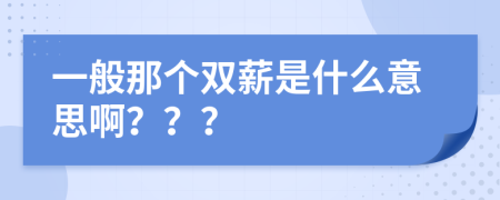 一般那個雙薪是什么意思??？？？