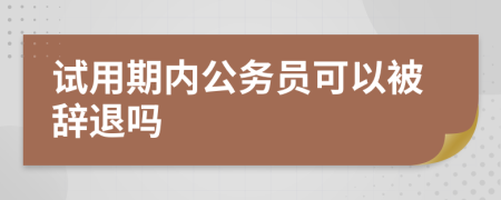 試用期內(nèi)公務(wù)員可以被辭退嗎
