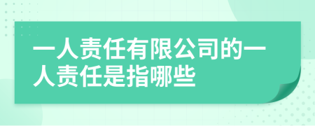 一人責(zé)任有限公司的一人責(zé)任是指哪些