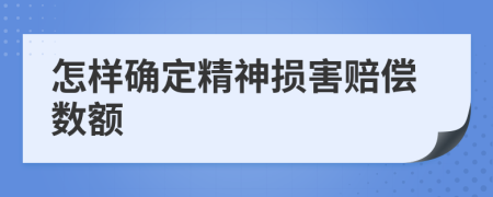 怎樣確定精神損害賠償數額