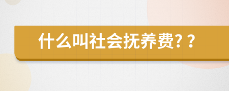 什么叫社會撫養(yǎng)費? ？