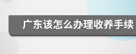 廣東該怎么辦理收養(yǎng)手續(xù)