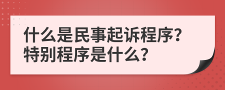 什么是民事起訴程序？特別程序是什么？