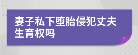 妻子私下墮胎侵犯丈夫生育權(quán)嗎
