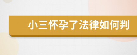 小三懷孕了法律如何判