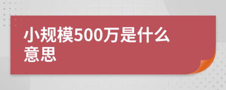 小規(guī)模500萬是什么意思