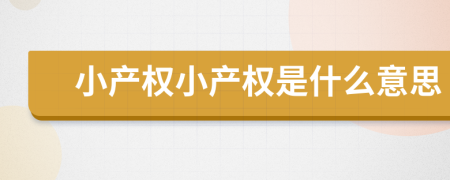 小產(chǎn)權(quán)小產(chǎn)權(quán)是什么意思