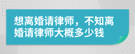 想離婚請律師，不知離婚請律師大概多少錢
