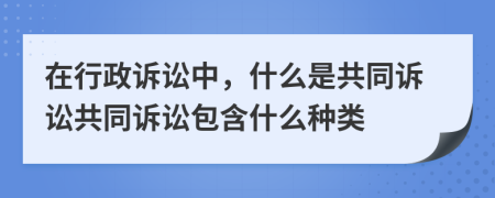 在行政訴訟中，什么是共同訴訟共同訴訟包含什么種類(lèi)
