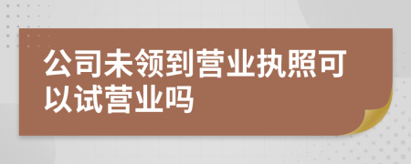 公司未領(lǐng)到營業(yè)執(zhí)照可以試營業(yè)嗎