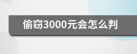 偷竊3000元會怎么判