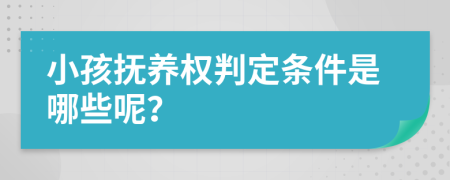 小孩撫養(yǎng)權(quán)判定條件是哪些呢？