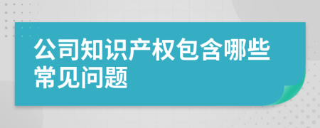 公司知識(shí)產(chǎn)權(quán)包含哪些常見(jiàn)問(wèn)題