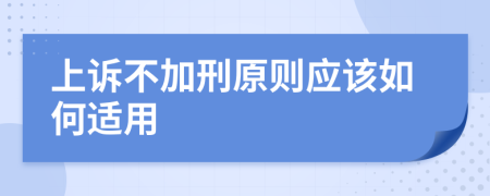 上訴不加刑原則應該如何適用