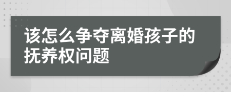 該怎么爭奪離婚孩子的撫養(yǎng)權問題