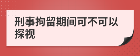 刑事拘留期間可不可以探視