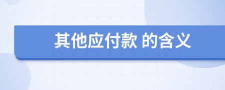  其他應(yīng)付款 的含義
