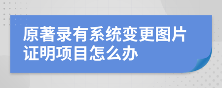 原著錄有系統(tǒng)變更圖片證明項(xiàng)目怎么辦