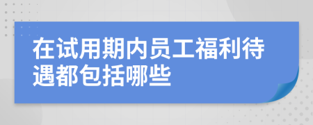 在試用期內(nèi)員工福利待遇都包括哪些