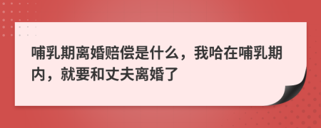 哺乳期離婚賠償是什么，我哈在哺乳期內(nèi)，就要和丈夫離婚了
