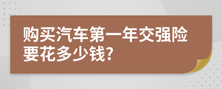 購買汽車第一年交強(qiáng)險要花多少錢?