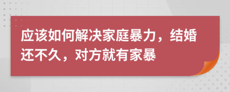 應(yīng)該如何解決家庭暴力，結(jié)婚還不久，對(duì)方就有家暴
