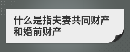 什么是指夫妻共同財產(chǎn)和婚前財產(chǎn)