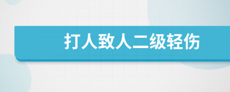 打人致人二級輕傷