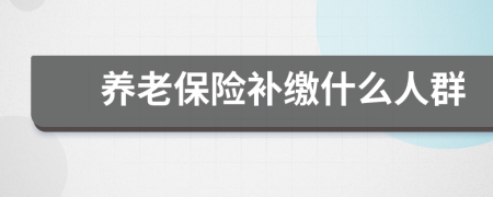 養(yǎng)老保險(xiǎn)補(bǔ)繳什么人群