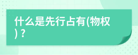 什么是先行占有(物權) ?