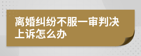 離婚糾紛不服一審判決上訴怎么辦