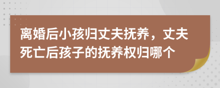 離婚后小孩歸丈夫撫養(yǎng)，丈夫死亡后孩子的撫養(yǎng)權歸哪個