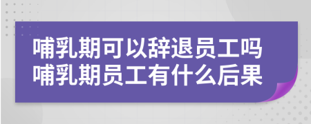 哺乳期可以辭退員工嗎哺乳期員工有什么后果