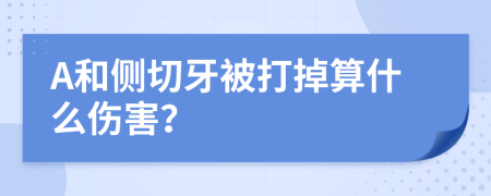 A和側(cè)切牙被打掉算什么傷害？