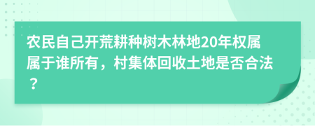 農(nóng)民自己開荒耕種樹木林地20年權(quán)屬屬于誰所有，村集體回收土地是否合法？
