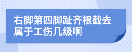 右腳第四腳趾齊根截去屬于工傷幾級(jí)啊
