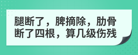 腿斷了，脾摘除，肋骨斷了四根，算幾級傷殘