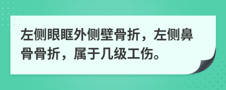 左側(cè)眼眶外側(cè)壁骨折，左側(cè)鼻骨骨折，屬于幾級工傷。