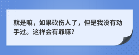 就是嘛，如果砍傷人了，但是我沒(méi)有動(dòng)手過(guò)。這樣會(huì)有罪嘛？